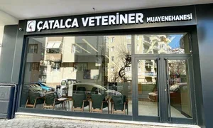 Rumeli Veteriner Kliniği — 2