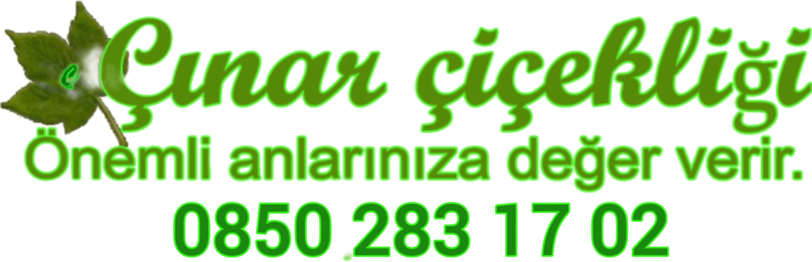 ÇINAR ÇiÇEK — 2