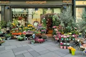 Bağcılar Meydan Çiçekçilik