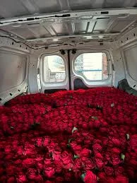 216 TOPTAN ÇİÇEK ÇEKMEKÖY