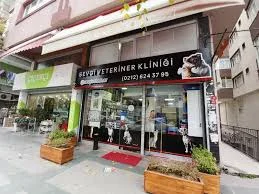 Calista Çiçekçi - Fotoğraf 1