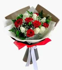 GARDENYA ÇİÇEKÇİLİK