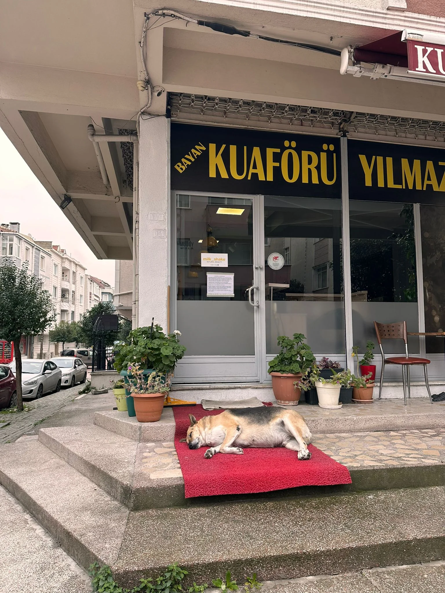 Bayan Kuaförü Yılmaz