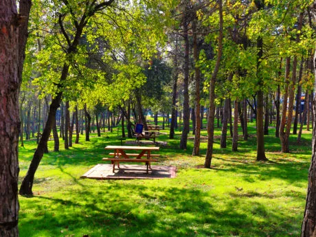 En İyi Esenler Gezilecek Yerler - Puan.com