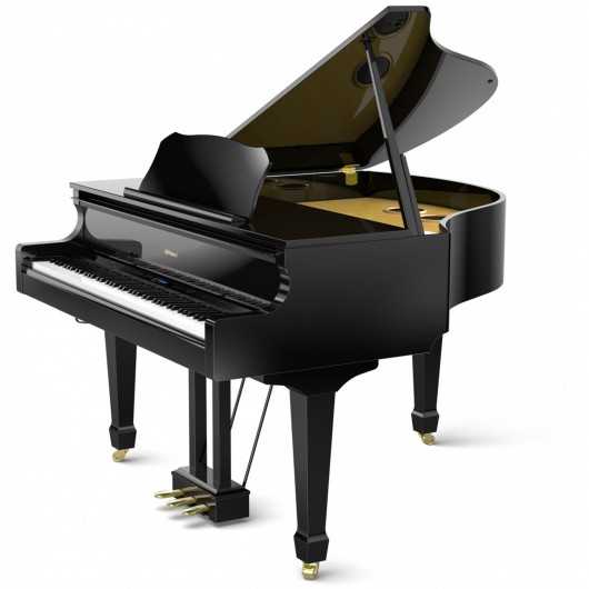 En İyi Müzik Aletleri - 03 - Puan.com