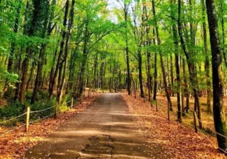 En İyi Sarıyer Gezilecek Yerler - 02 - Puan.com