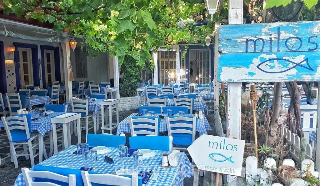 En İyi Seferihisar Restaurantlar - Puan.com