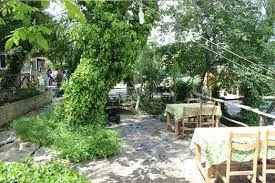 En İyi Tire Balık Restoranları - Puan.com