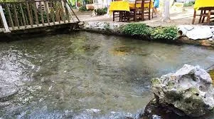 En İyi Yatağan Restoranlar - 04 - Puan.com
